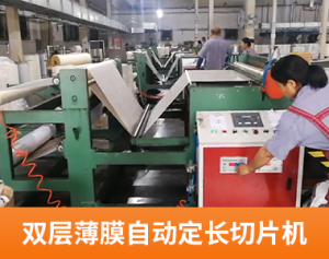 双层薄膜自动定长切片机